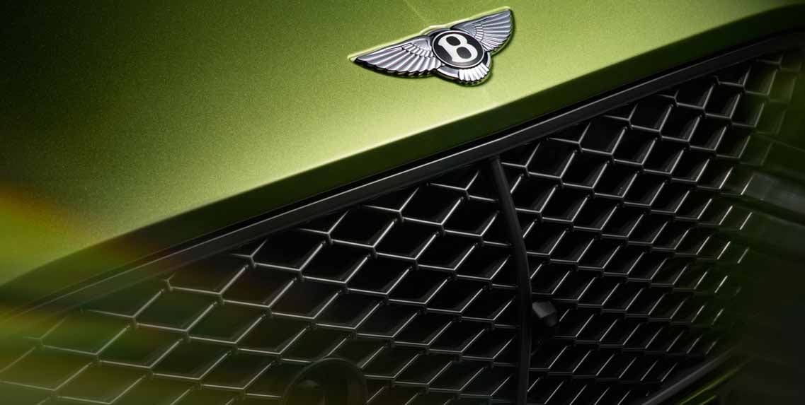 dark tint on the matrix grille