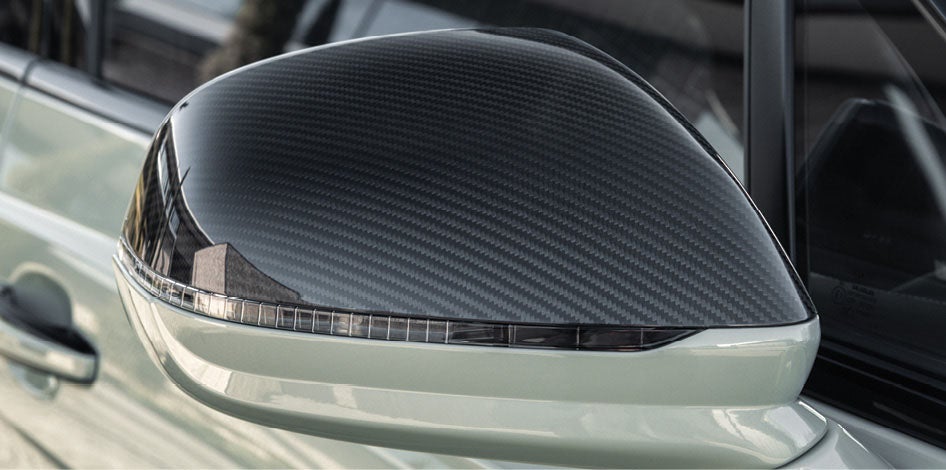 Carbon Fibre accents on side view mirrors